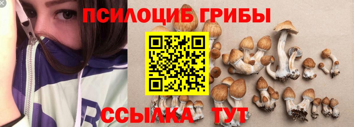 Кропоткин  Псилоцибиновые грибы мицелий  Вход с VPN 