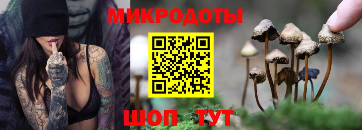 Псилоцибиновые грибы ЛСД Кропоткин